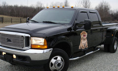 Vehicle Graphics