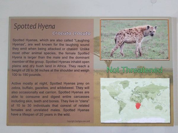 24 x 16 Spotted Hyena Sign