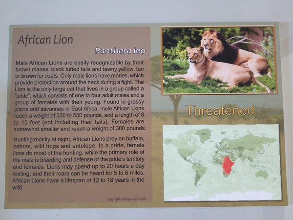 24X16 African Lion Sign