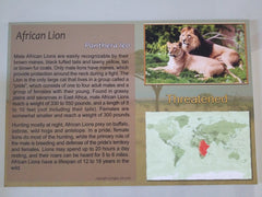 24X16 African Lion Sign