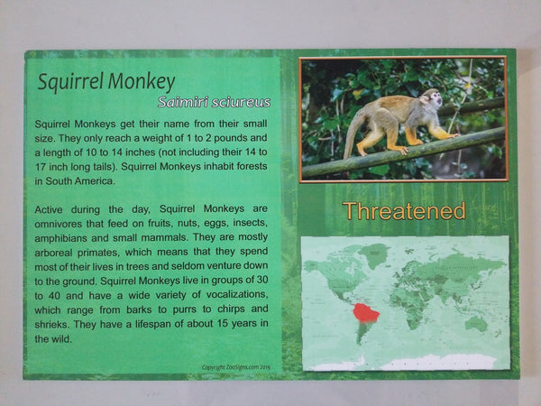 24X16 Squirrel Monkey Sign