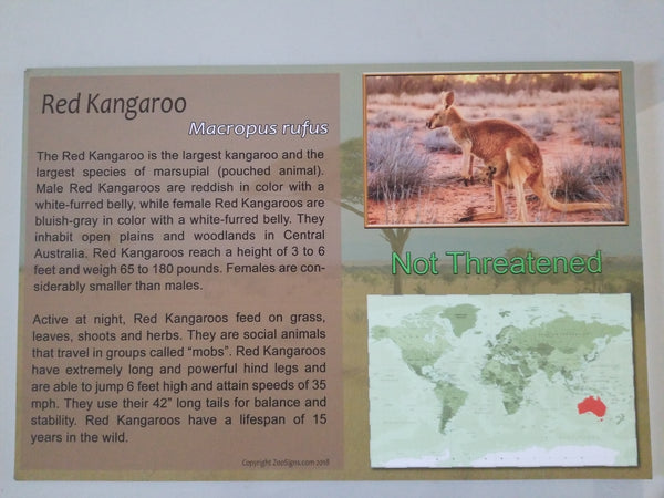 24X16 Red Kangaroo Sign