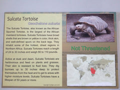 24X16 Sulcata Tortoise Sign