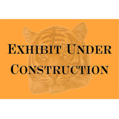 Under Construction Sign