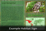 Grand Eclectus Parrot Sign