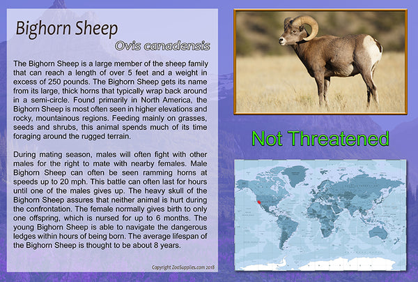 Barbary Sheep Sign